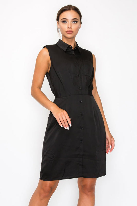Button-down Pleated Shirt Dress - Cherry Angel